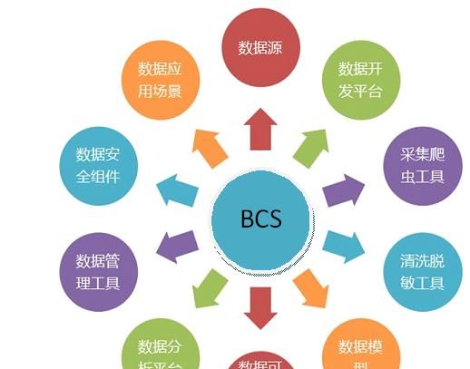 商业连锁营销系统(BCS)